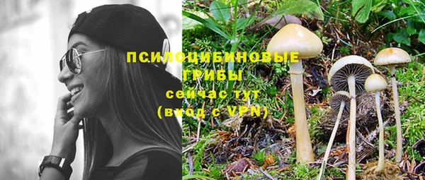 прущие грибы Алзамай