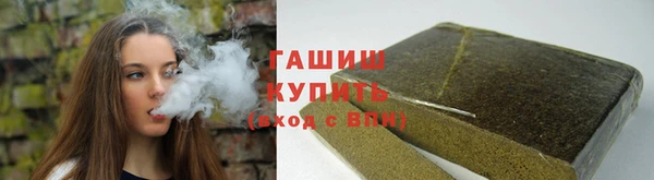 прущие грибы Алзамай