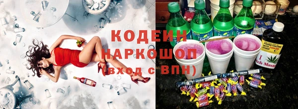 прущие грибы Алзамай