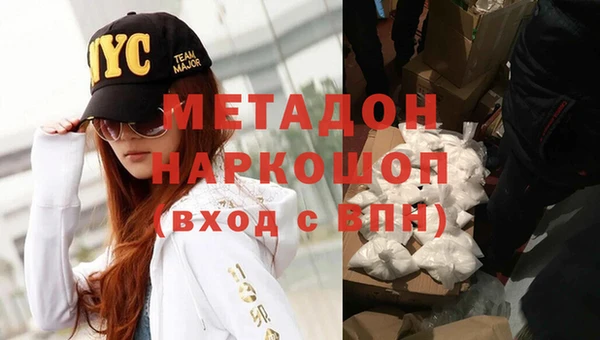 прущие грибы Алзамай