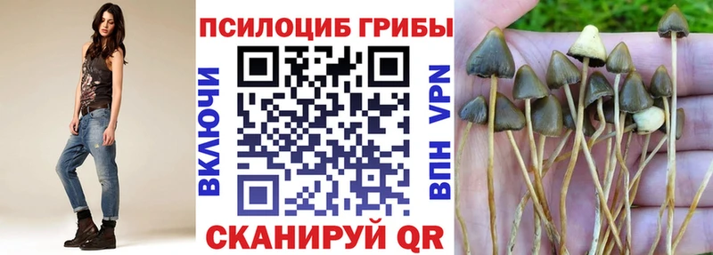 Галлюциногенные грибы MAGIC MUSHROOMS  Игарка 